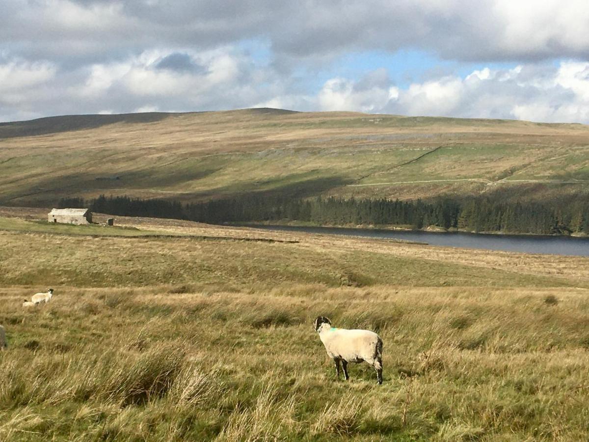 Weardale Cottage Saint Johns Chapel Exterior foto